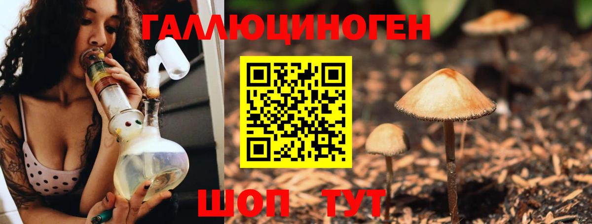 Валуйки  Псилоцибиновые грибы Cubensis  Вход с VPN 